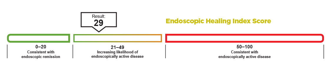 endoscopic_healing_index_score