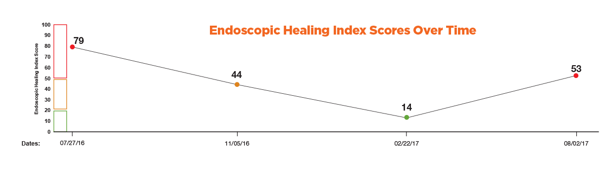 Endoscopic Healing Index Score Over Time