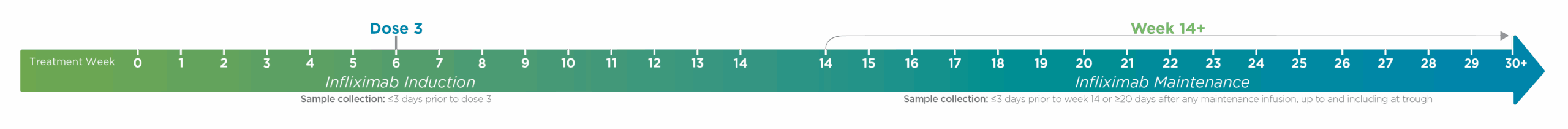 PredictrPK Induction and Maintenance testing timeline