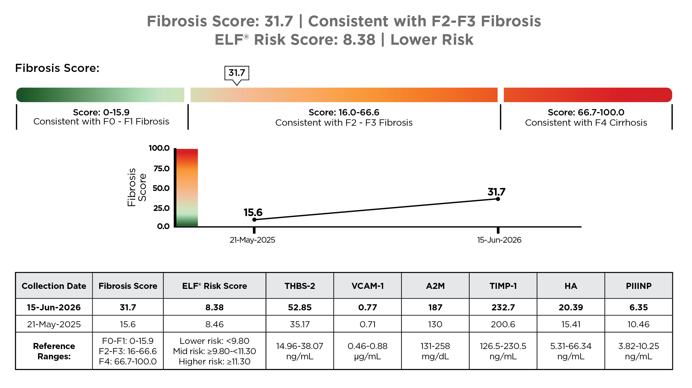 Snapshot of the Mash Precis Test Report showing the Fibrosis Score and ELF Risk Scores